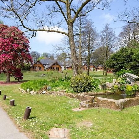 Cornish Holiday - 100 Hengar Manor Bodmin Ngoại thất bức ảnh